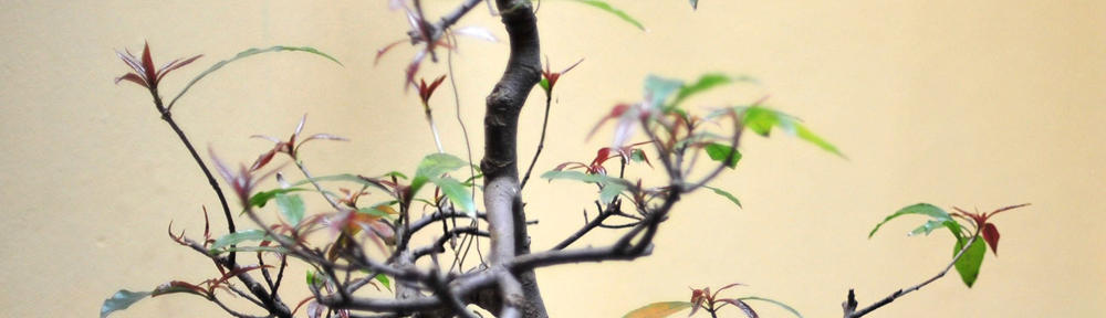 JUNANJO Holdings (PTY) Ltd